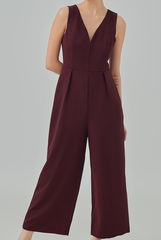 Bernessa Plunge Neck Jumpsuit